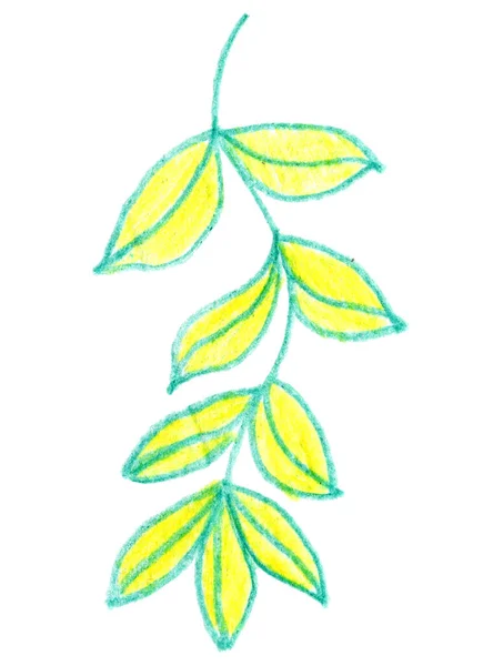 叶子绿色黄色素描 — 图库照片
