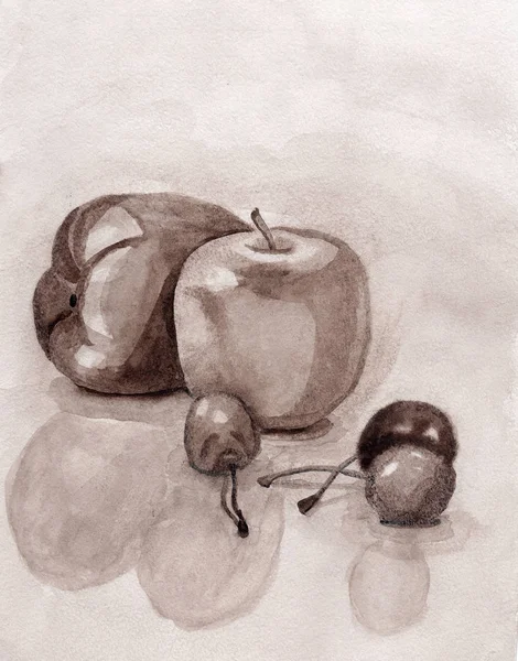 fruits monochrome apple cherry sketch drawing watercolor