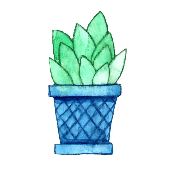 Akwarela Egzotyczny Garnek Ilustracja Kaktus Kwiat Natura Niebieski Roślina Zielony — Zdjęcie stockowe