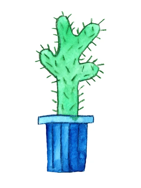 Cactus Aloe Vera Exotic Plant Green Blue Flower Nature Pot — Stock Photo, Image