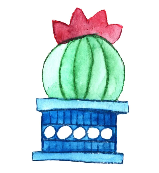 Cactus Exotic House Plant Green Blue Flower Nature Pot Watercolor — Stock Photo, Image