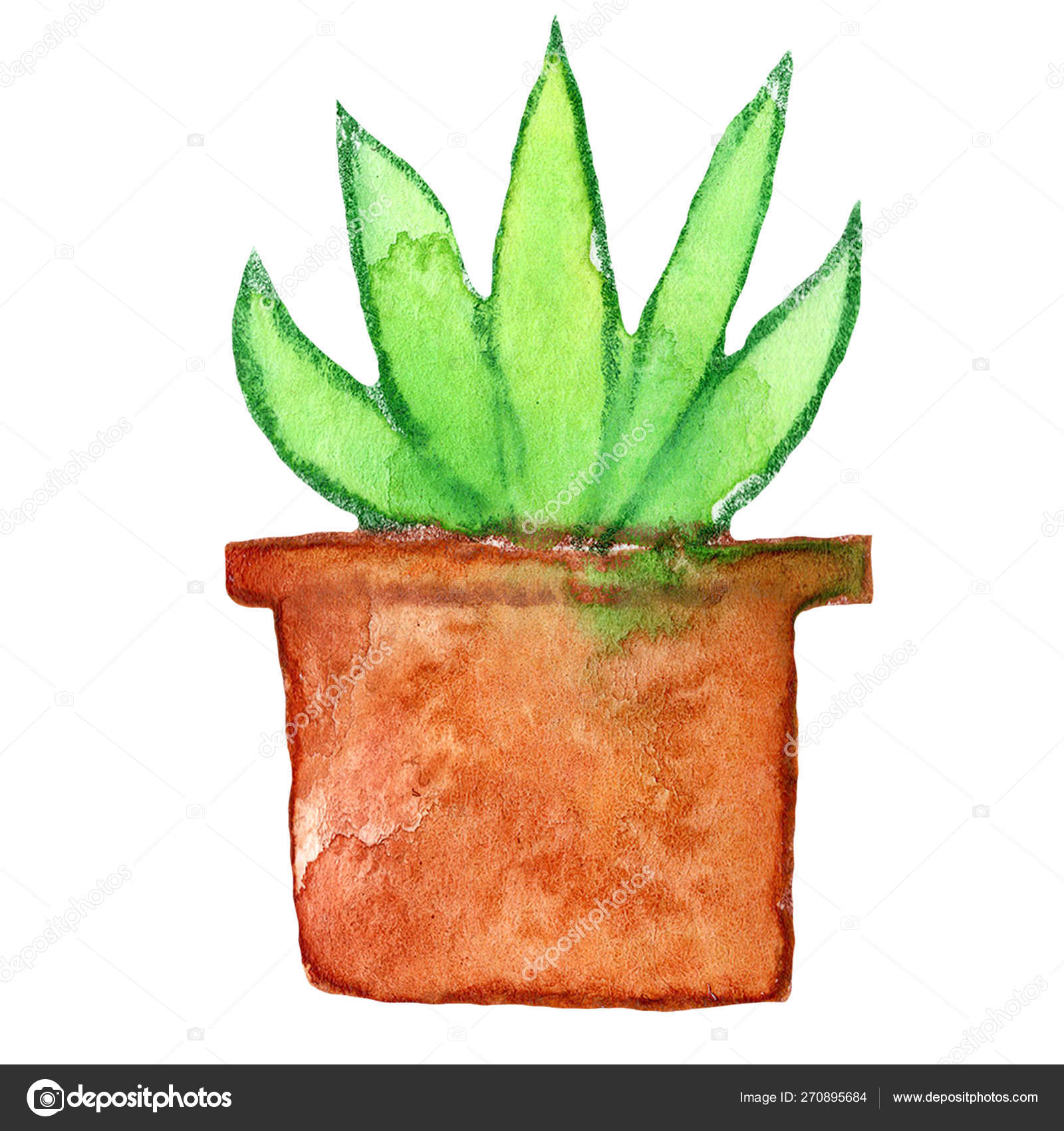サボテンエキゾチックハウス植物緑茶色の花の自然ポット水彩イラスト ストック写真 C Kupriyanovaart