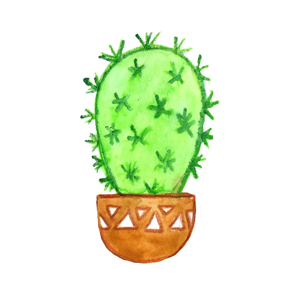 Akwarela Egzotyczny Garnek Ilustracja Kaktus Kwiat Natura Roślina Zielony — Zdjęcie stockowe