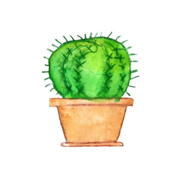 Kaktusové Exotické Domácí Rostliny Zelená Hnědá Květina Příroda Hrnec Akvarel — Stock fotografie