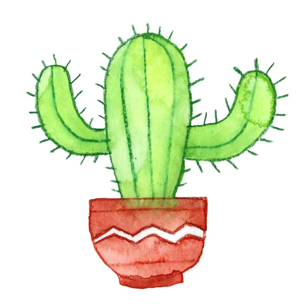 Cactus Esotico Casa Pianta Verde Marrone Fiore Natura Pentola Acquerello — Foto Stock