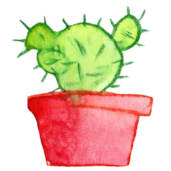 Kaktusz Egzotikus Ház Növény Zöld Barna Virág Természet Pot Akvarell — Stock Fotó