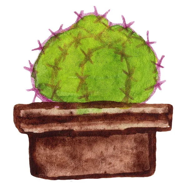 Akwarela kaktusy różowy zielony — Zdjęcie stockowe