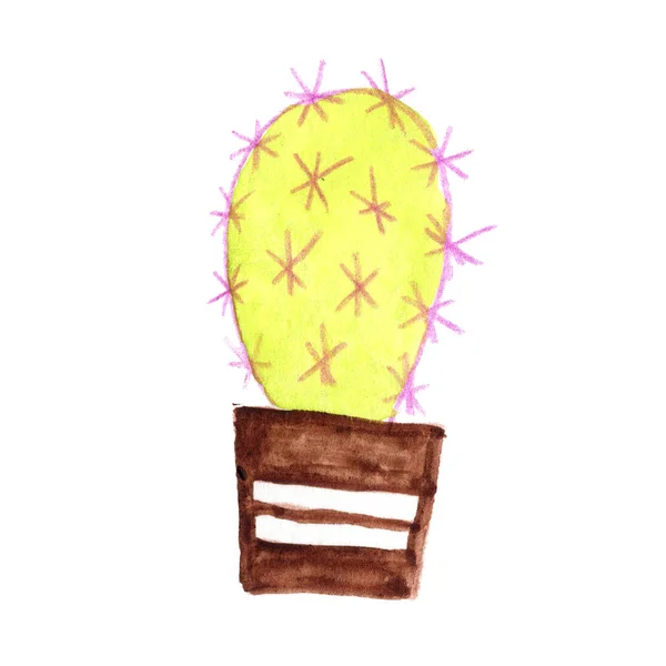 Disegno Marrone Verde Acquerello Cactus — Foto Stock