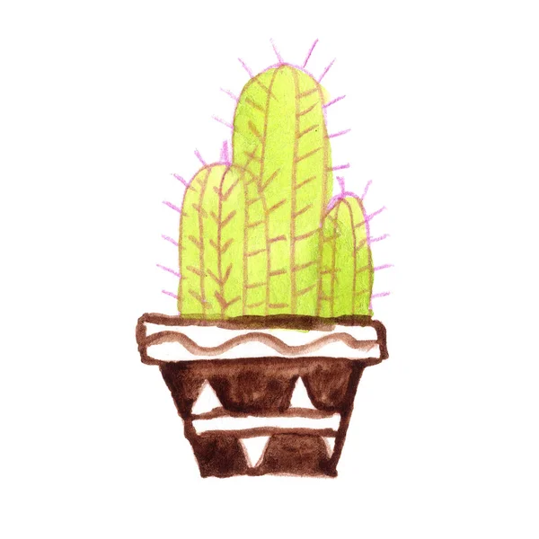 Cactus Houseplant Flower Pot Watercolor Green Brown Drawing — Stock Photo, Image