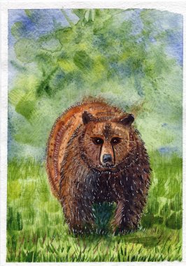 suluboya illüstrasyon kahverengi ayı vahşi hayvan doğa orman yeşil mavi arka plan çizim