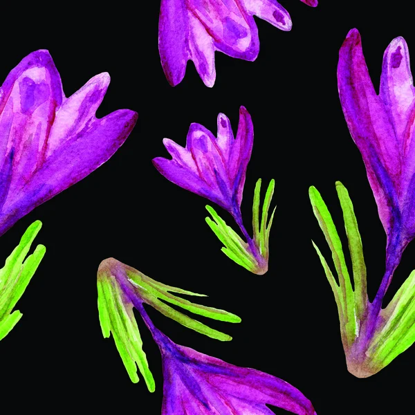 Aquarell Zeichnung Skizze Illustration Krokus Blume Botanik Pflanze Natur Blüte — Stockfoto