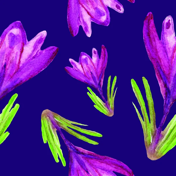Aquarell Zeichnung Skizze Illustration Krokus Blume Botanik Pflanze Natur Blüte — Stockfoto