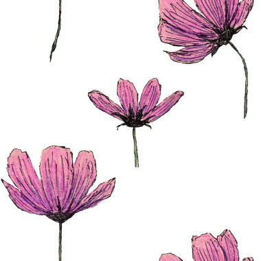 Kozmea çiçekleriyle kusursuz desen. Renkli kalemlerle çizilmiş bir el. Botanik çizimi. Pembe ve mor. Siyah çizgi. Bahar ve yaz. Kartpostallar, duvar kağıtları, hatıra defteri, tekstil ve ambalaj kağıtları için.