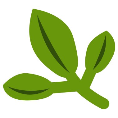 El yapımı üçlü sonbahar yaprağı beyaz arka planda izole. Sarımsı yeşil. Karikatür tarzı. Botanik çizimi. Doğa ve ekoloji. Şablonlar, kartpostallar, hatıra defterleri, baskılar ve kalıplar için