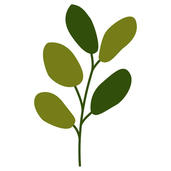 葉が孤立した手描きの木の枝 オリーブグリーン 秋と夏 自然と生態学 バカ漫画だ 植物スケッチ テンプレート ポストカード スクラップブッキング プリントやパターンのために — ストックベクタ