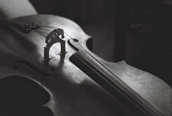 Cello Body Evening Light Monochrome — Stock Photo, Image