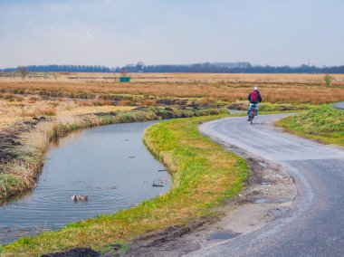 Zaanse Schans'a, kırsal kesimde Zaandam Hollandalı şehir çevre Amsterdam, Hollanda.