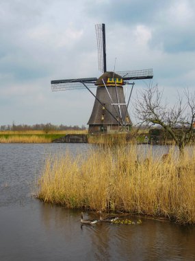 Hollanda 'nın ünlü turizm sahası Kinderdijk' te yel değirmenleri ve kanallarıyla Hollanda kırsalları