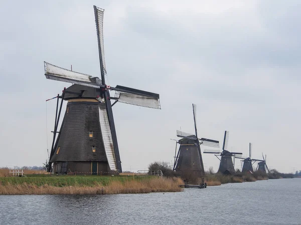 Niederlande Ländliche Landschaft Mit Windmühlen Und Kanal Berühmten Touristenort Kinderdijk — Stockfoto