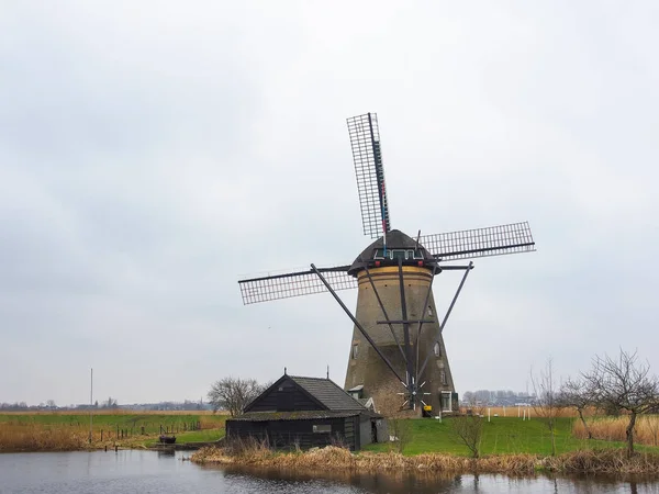 Paisaje rural neerlandés con molinos de viento —  Fotos de Stock