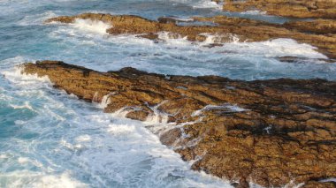 Okyanus benim en büyük ilham kaynağım.