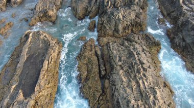 Okyanus benim en büyük ilham kaynağım.