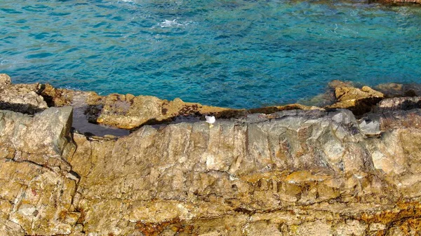 Tierra Mar Aire Unen Forman Estos Hermosos Paisajes —  Fotos de Stock