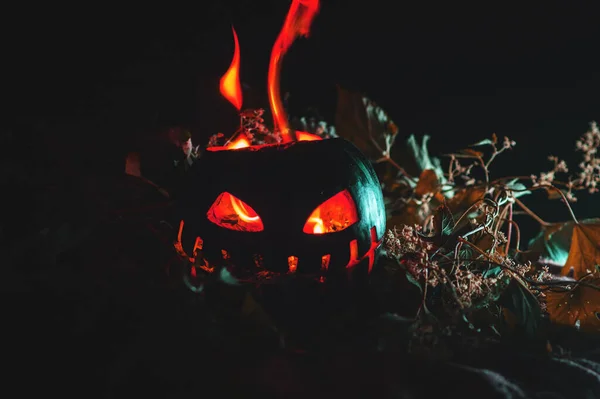 Halloween Apocalypse Pastèque Verte Dans Cendre Chaleur — Photo