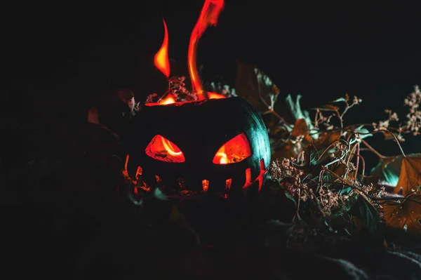 Halloween Apocalipsis Sandía Verde Ceniza Calor —  Fotos de Stock