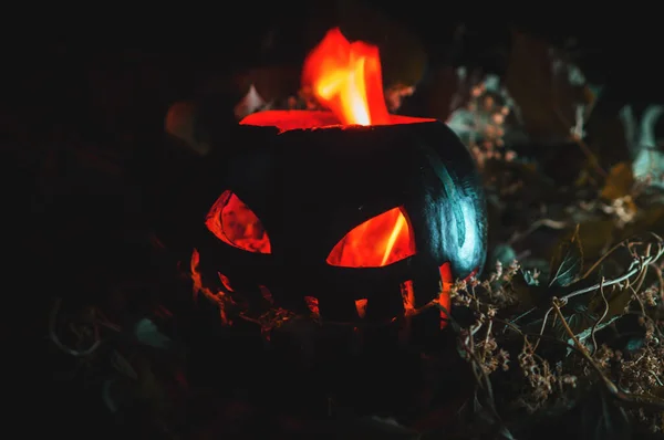 Apokalypse Halloween Grüne Wassermelone Asche Und Hitze — Stockfoto