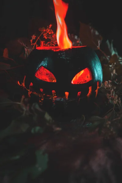 Halloween Apocalipse Melancia Verde Cinzas Calor — Fotografia de Stock