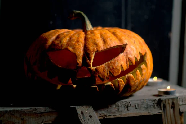 Хэллоуинский Апокалипсис Оранжевая Тыква Ясене Жаре — стоковое фото