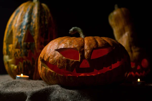 Хэллоуинский Апокалипсис Оранжевая Тыква Ясене Жаре — стоковое фото