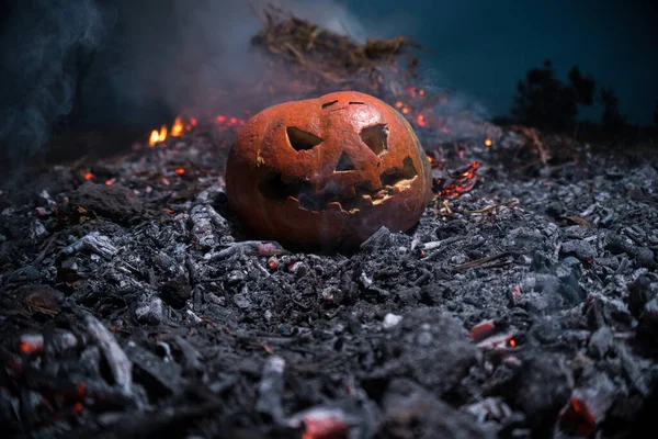 Halloween apocalypse orange pumpkin in ash and heat