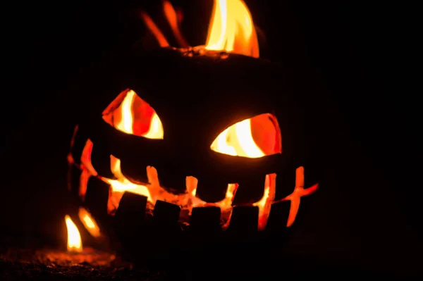 Halloween Apocalypse Orange Pumpkin Ash Heat — Stock Photo, Image