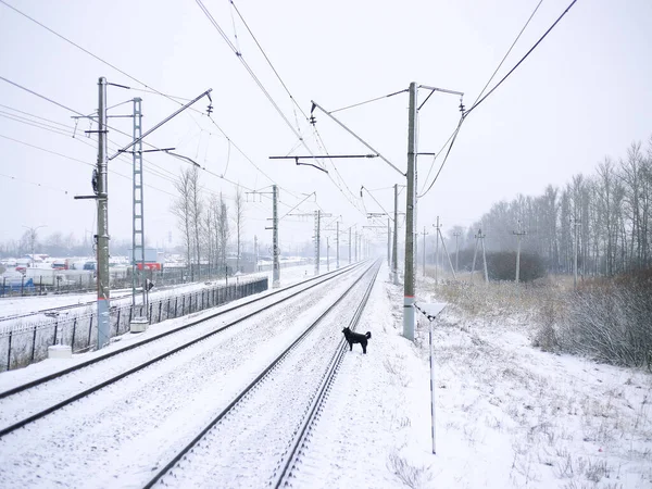 Banliyö bölgesinde kış demiryolu, Rusya 'nın soğuk kış karı