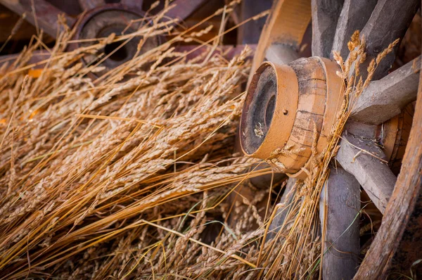 objects of ancient rural life against the background of hay