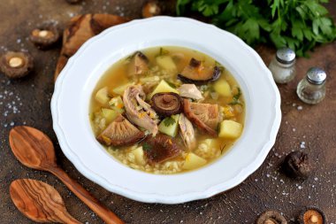 Kurutulmuş mantar, tavuk eti, pirinç, patates, havuç ve maydanoz ile organik çorba.