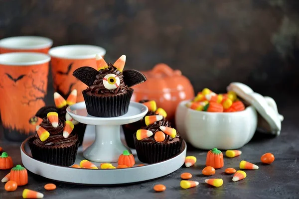 チョコレートのカップケーキ コウモリ ハロウィーンのお祝いのためのおいしいパン屋さんのお菓子 — ストック写真