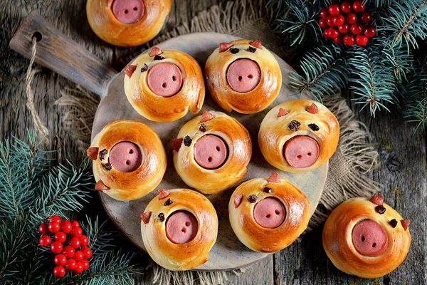 Cute pig buns with sausages - symbol of 2019, the idea for children\'s breakfast.