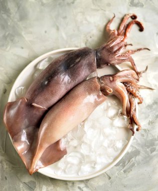 Buz gri bir arka plan üzerinde beyaz bir tabak taze çiğ tüm mürekkep. Üstten görünüm. 