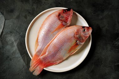 Siyah bir arka plan üzerinde ham taze pembe tilapia. Üstten görünüm. 