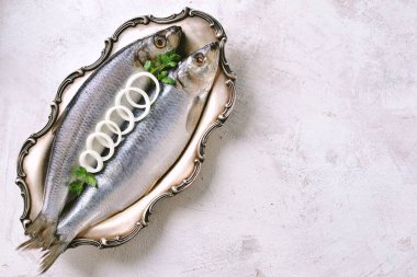 Bir nikel gümüş tepside açık renkli tuzlanmış ringa. Üstten Görünüm. 