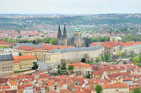 Saint Vitus Vitt Katedra Zamek Praski Prague Republika Czeska — Zdjęcie stockowe