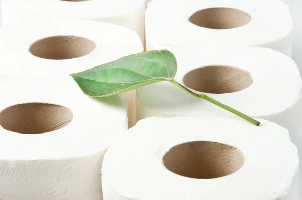 Rolls Toilet Paper Leaf Recycling Ecology Conservative Concept — Stock Photo, Image