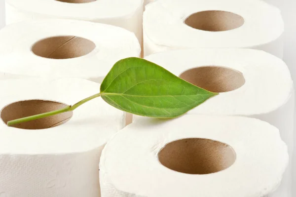 Rolki Papieru Toaletowego Liści Recykling Ekologia Konserwatywna Koncepcja — Zdjęcie stockowe