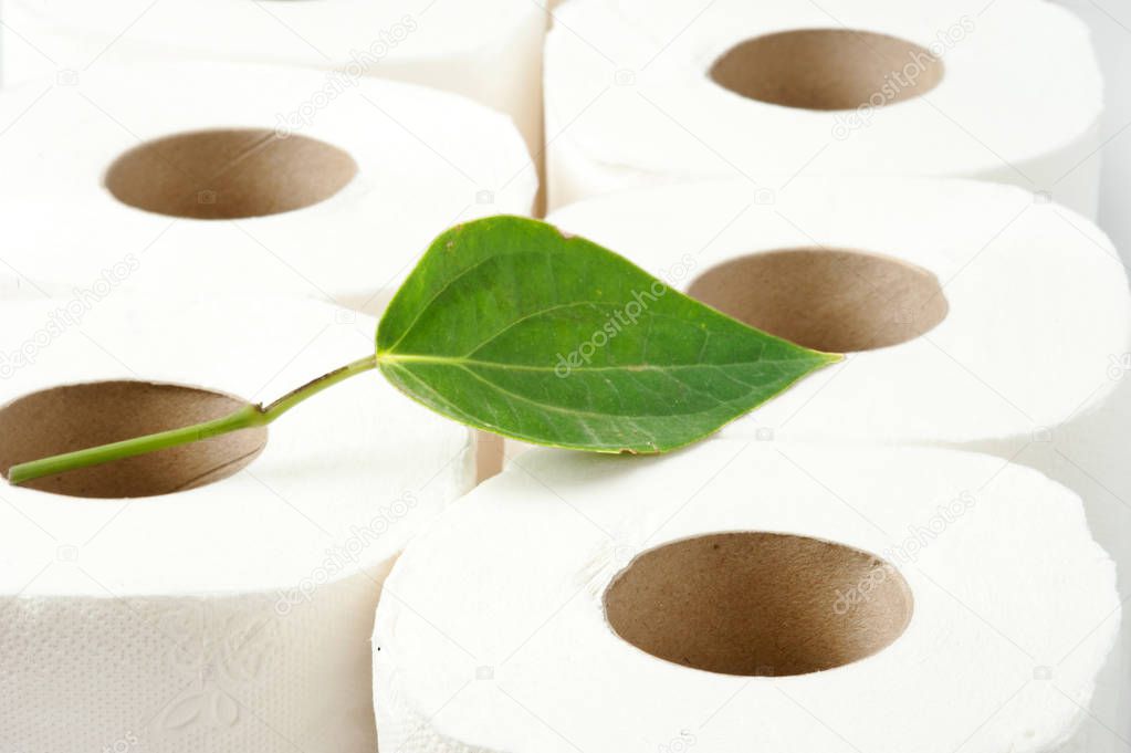 rolls of toilet paper with the leaf. Recycling, ecology and conservative concept.