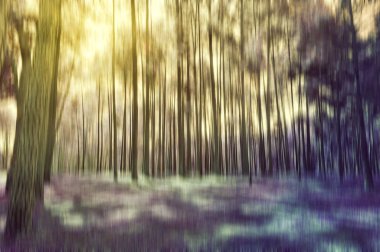 Soyut hareket bulanıklığı gizemli orman ağaçları