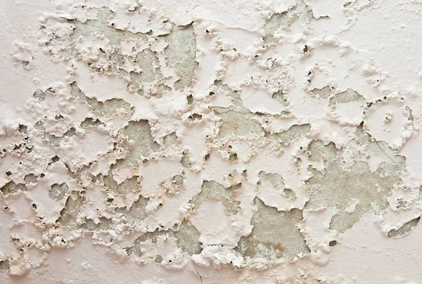Damp Mold Wall Due Water Leaks — Stock Photo, Image