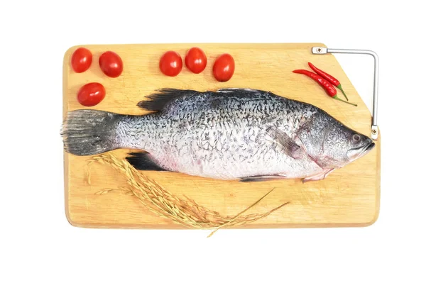 Freshreah raw Asian Sea Bass fish  on wooden cutting board with chilli, tomato and raw rice on white background, top view. Seafood asian cooking ingredients.